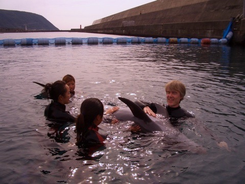 Dolphin Massage School